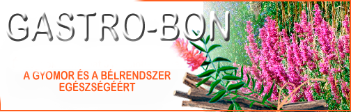 Gastro-Bon termékcsoport Gastro-Bon