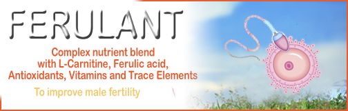 FERULANT Male fertility health