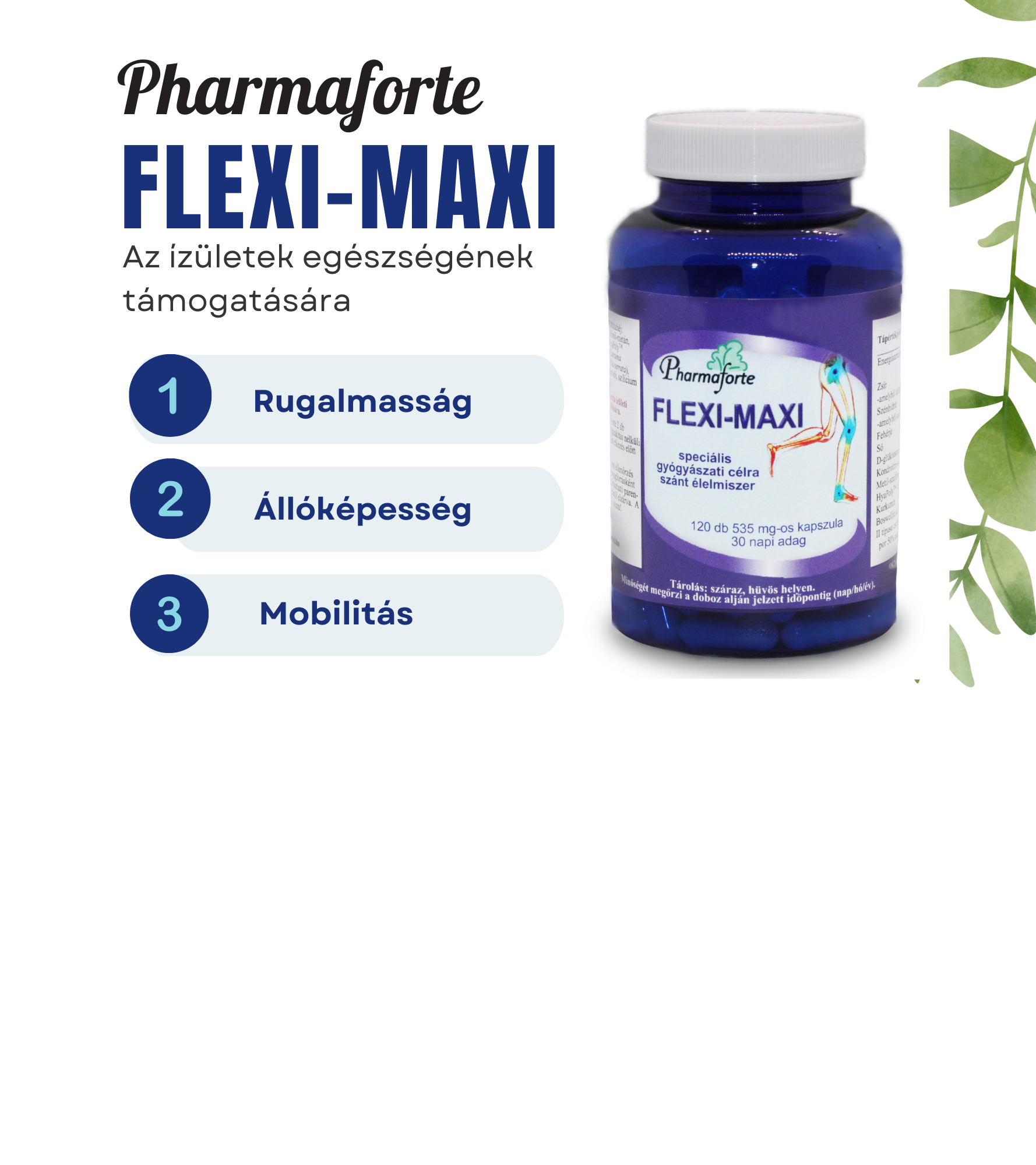 Flexi-Maxi Reklám